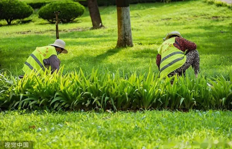现代园林景观设计中的石景