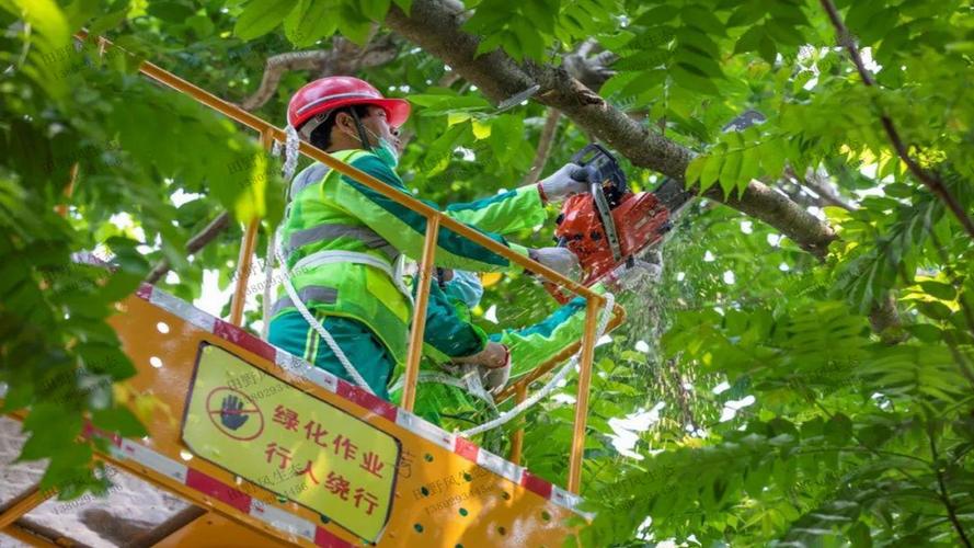 现代园林景观设计要求